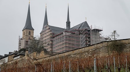 Seit 2009 wird der Weinberg unterhalb der Klosteranlage am Bamberger Michaelsberg wieder bewirtschaftet. / Foto: Daniel Vogl/dpa