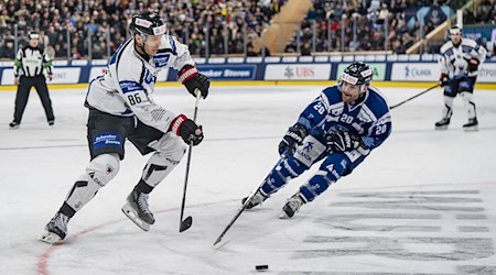 Fribourgs Julien Sprunger (l) kämpft um den Puck gegen Straubings Justin Scott. / Foto: Til Buergy/KEYSTONE/dpa