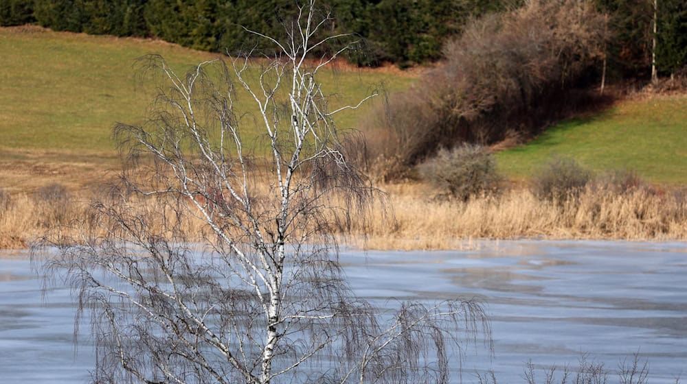 Sonniges und vergleichsweise warmes Wetter brachte der Januar in Bayern (Archivbild). / Foto: Karl-Josef Hildenbrand/dpa