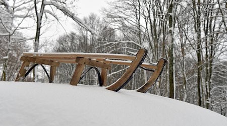 Drei Deutsche mussten nach Rodelunfall ins Krankenhaus. (Symbolbild) / Foto: picture alliance / Caroline Seidel/dpa