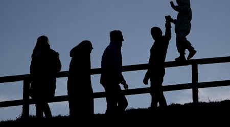 Der Mikrozensus ist die größte jährliche Haushaltsbefragung in Deutschland. (Archivbild) / Foto: Sven Hoppe/dpa