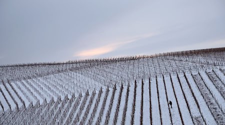 In Bayern wird es am Wochenende glatt. Im Norden wird einiges an Neuschnee erwartet. / Foto: Karl-Josef Hildenbrand/dpa