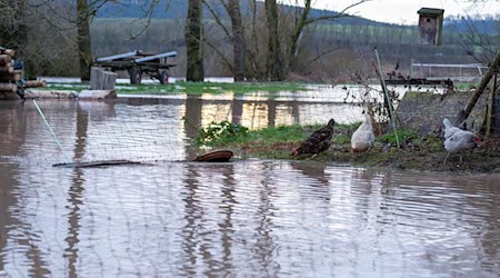 Regen und Schneeschmelze führen zu Hochwasser in Nordbayern.  / Foto: Pia Bayer/dpa