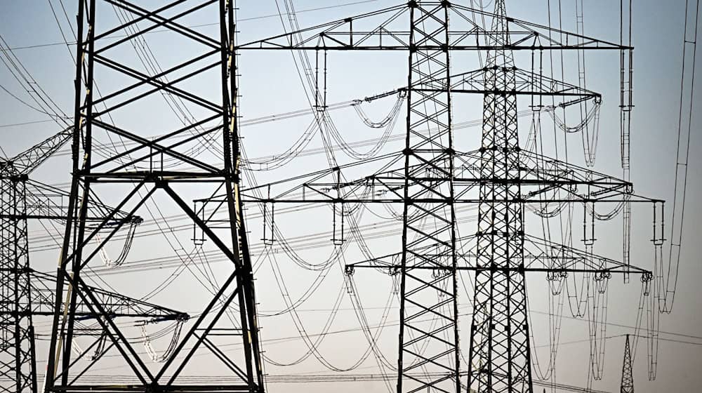 Der Ausbau der Stromnetze ist noch immer viel zu langsam. Das soll sich ändern. (Symbolbild) / Foto: Federico Gambarini/dpa