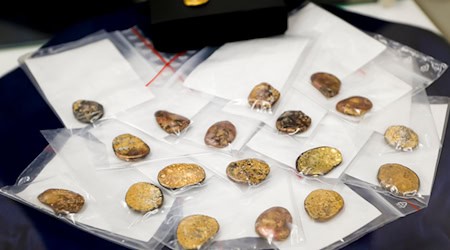 Sichergestellte Münzklumpen - präsentiert bei einer Pressekonferenz des Bayerischen Landeskriminalamts zu den Festnahmen im Fall des Manchinger Goldschatz-Diebstahls. (Archivbild) / Foto: Uwe Lein/dpa