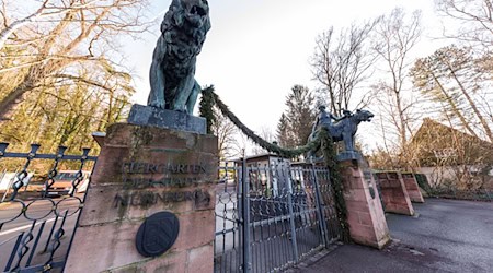 Bis zum 10. Februar gelten noch besonders Hygiene- und Vorsichtsmaßnahmen im Tiergarten. (Archivfoto) / Foto: Daniel Karmann/dpa