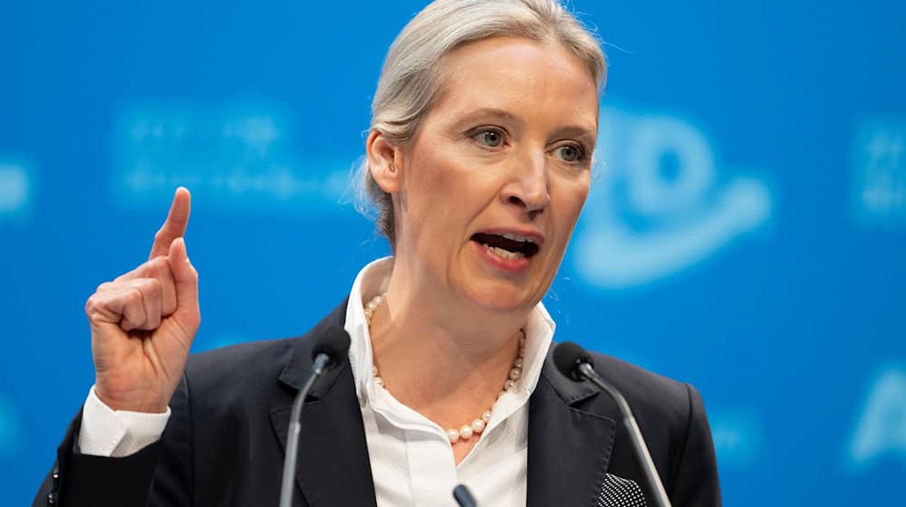 Weidel hat die Union erneut aufgefordert, mit ihrer Partei zusammenzuarbeiten. (Archivbild) / Foto: Sebastian Kahnert/dpa