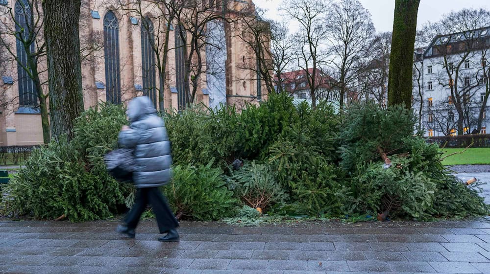 Manche Baum-Fans schmeißen ihre Bäume einfach auf die Straße (Archivbild). / Foto: Peter Kneffel/dpa