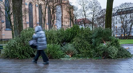 Manche Baum-Fans schmeißen ihre Bäume einfach auf die Straße (Archivbild). / Foto: Peter Kneffel/dpa