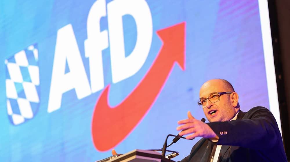 Spricht sich für eine Koalition von CDU/CSU und der AfD nach der Bundestagswahl aus: AfD-Landeschef Stephan Protschka. (Archivbild) / Foto: Daniel Löb/dpa