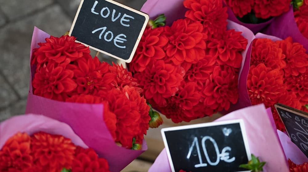 Rote Blumen sind ein Klassiker zum Valentinstag. (Symbolbild) / Foto: Helena Dolderer/dpa