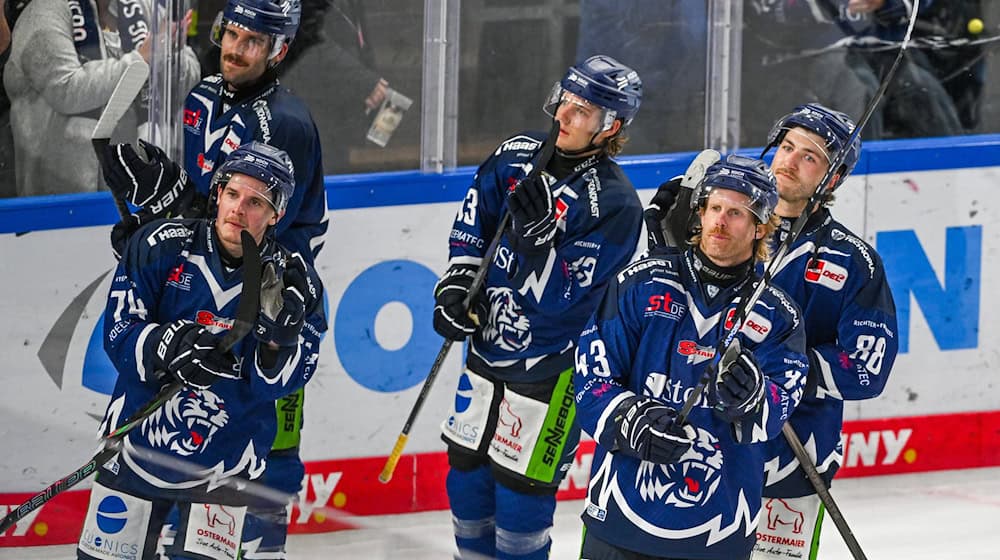 Die Straubing Tigers haben einen neuen Trainer. / Foto: Armin Weigel/dpa