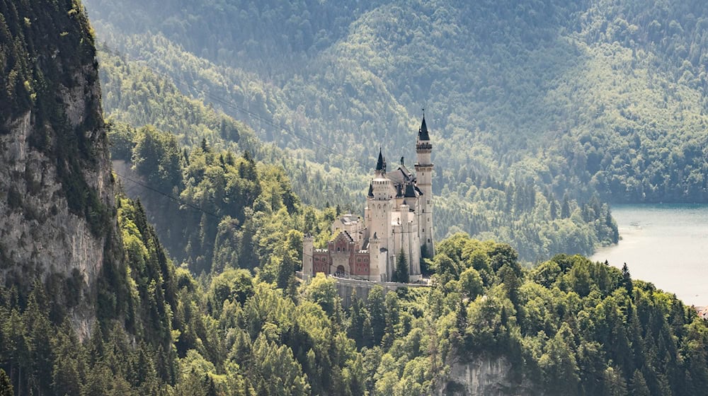 Mehr als eine Million Menschen besuchten 2024 das Schloss Neuschwanstein in Schwangau. (Archivbild) / Foto: Frank Rumpenhorst/dpa