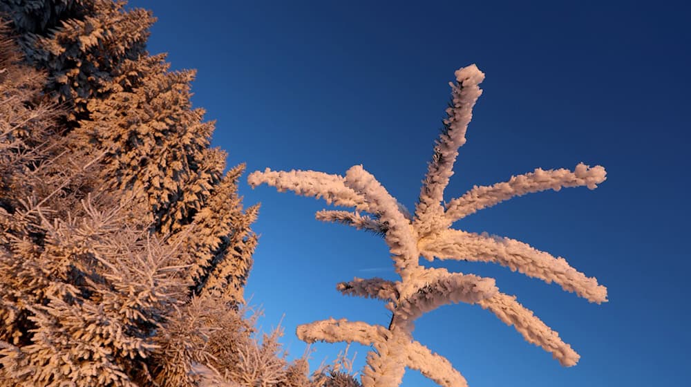 Frost und gebietsweise Neuschnee erwartet der DWD auch in der Nacht auf Sonntag. (Archivbild) / Foto: Karl-Josef Hildenbrand/dpa