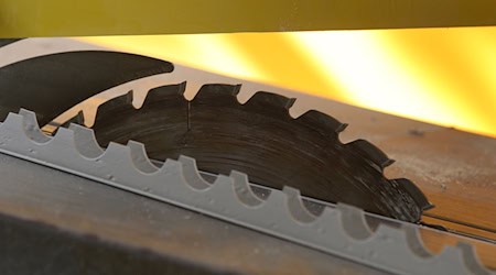 Daumen und Zeigefinger wurden bei dem Unfall abgetrennt. (Symbolbild) / Foto: picture alliance / dpa