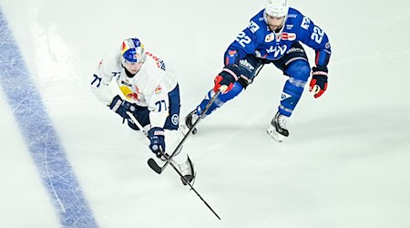 Das erste Playoff-Viertelfinale zwischen Mannheim und München war hart umkämpft. / Foto: Uwe Anspach/dpa