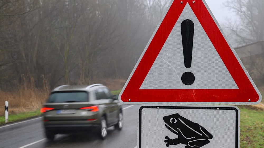 Der Luftdruck schnell vorbeifahrender Autos kann Amphibien ebenfalls töten. (Symbolbild) / Foto: Patrick Pleul/dpa