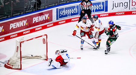 Augsburg bezwingt Düsseldorf und hofft wieder auf den Ligaerhalt in der Deutschne Eishockey Liga. / Foto: Tom Weller/dpa