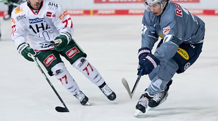 Luca Tosto (l) spielt auch nächste Saison für Augsburg. / Foto: Sven Hoppe/dpa