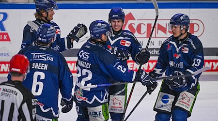 Die Straubing Tigers stehen nach dem Erfolg in Frankfurt im Playoff-Viertelfinale. / Foto: Armin Weigel/dpa