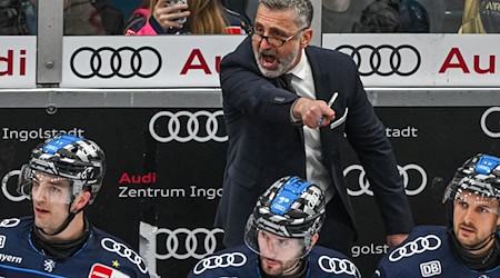 Trainer Mark French und der ERC Ingolstadt führen im Playoff-Viertelfinale mit 2:0. / Foto: Armin Weigel/dpa