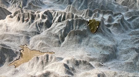 Auch die Zugspitze, als 3D-Druck aus Sand, ist im Alpenrelief am Alpinen Museum dargestellt.    / Foto: Sabine Dobel/dpa