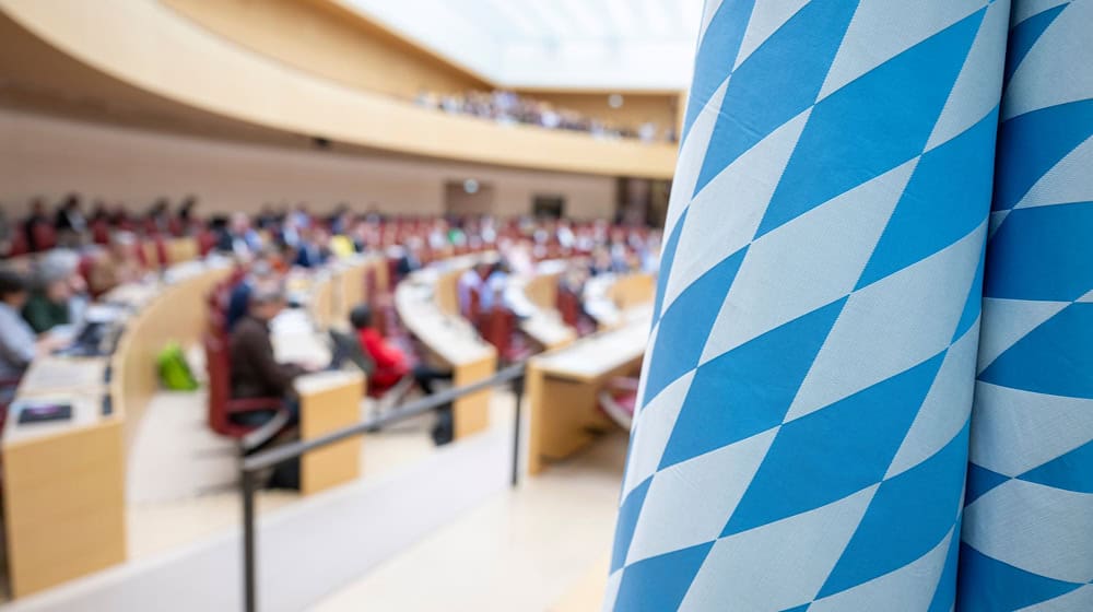 AfD-Verbotsverfahren ja oder nein? Der Landtag ist sich uneins. (Archivbild) / Foto: Peter Kneffel/dpa