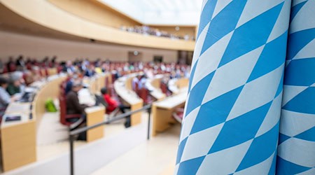 AfD-Verbotsverfahren ja oder nein? Der Landtag ist sich uneins. (Archivbild) / Foto: Peter Kneffel/dpa