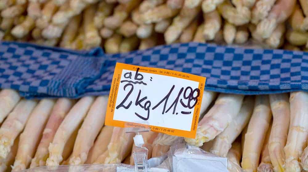 Die Spargelsaison läuft bisher gut. (Archivbild) / Foto: Peter Kneffel/dpa