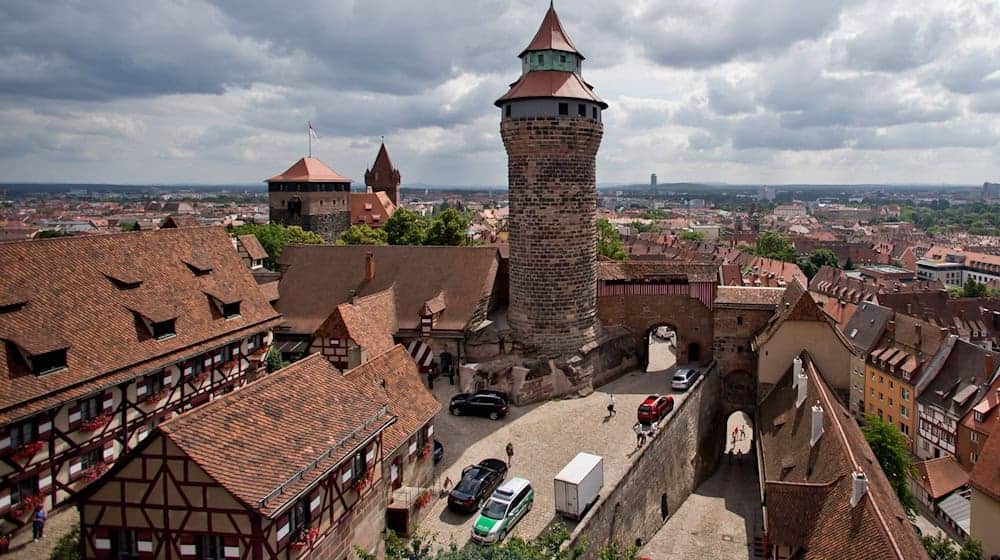 Ab Anfang August werden die Jungtiere von der Kaiserburg voraussichtlich in den Süden fliegen, um dort ihren ersten Winter zu verbringen. (Archivbild) / Foto: Daniel Karmann/dpa