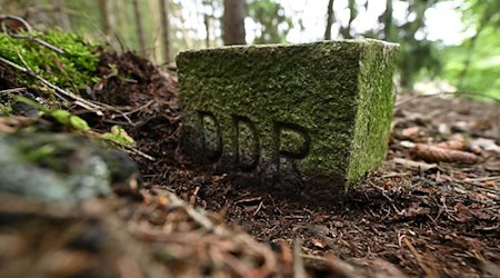 Die frühere deutsch-deutsche Grenze gilt inzwischen als ein Rückzugsort für Tiere und Pflanzen. (Archivbild) / Foto: Martin Schutt/dpa