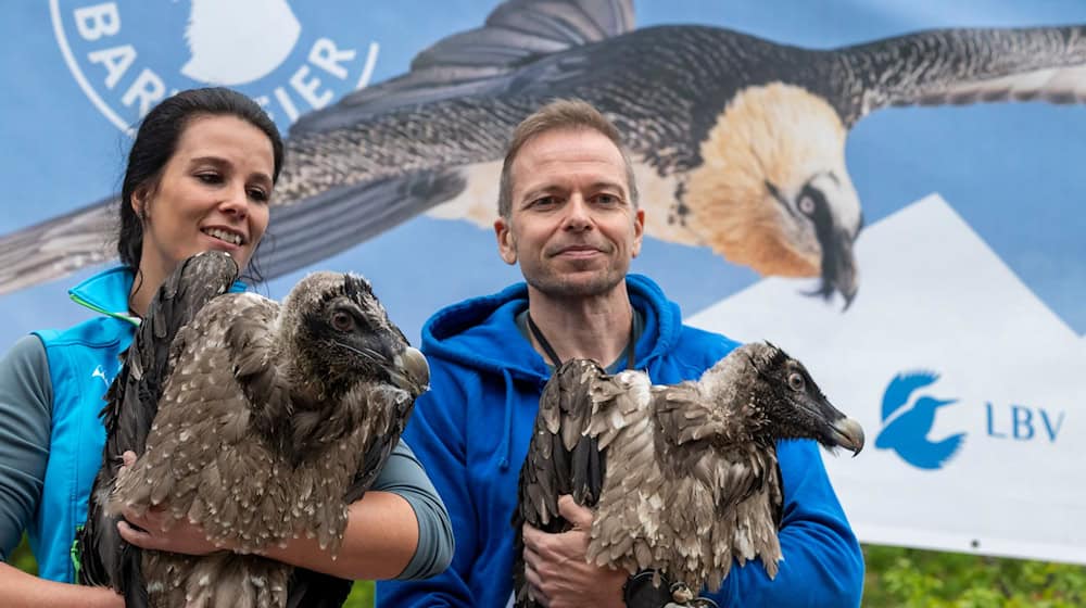 Großer Auftritt für große Vögel: Generl und Luisa. / Foto: Peter Kneffel/dpa