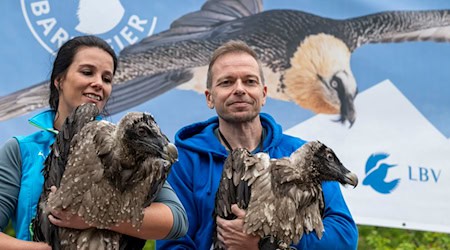 Großer Auftritt für große Vögel: Generl und Luisa. / Foto: Peter Kneffel/dpa
