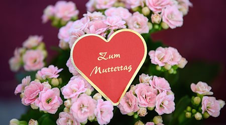 Blumen sind der Klassiker schlechthin zum Muttertag.  / Foto: Robert Michael/dpa-Zentralbild/dpa