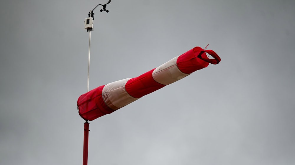 Durch den starken Wind ist laut den Ermittlern ein Schaden von rund 50.000 Euro entstanden. (Symbolbild) / Foto: Marius Bulling/dpa