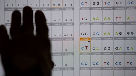 Das Ergebnis einer DNA-Sequenzanalyse im Labor des Bayerischen Landeskriminalamts (LKA). Bayern und Baden-Württemberg fordern eine Ausweitung der DNA-Analyse bei der Fahndung nach Straftätern. (Symbolbild) / Foto: Sven Hoppe/dpa