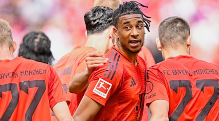 Traf beim Sieg des FC Bayern in Hoffenheim zum 1:0: Michael Olise. / Foto: Uwe Anspach/dpa