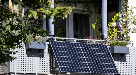 Der Sonnenstromverband BSW Solar erwartet in diesem Jahr weiteres rasantes Wachstum bei kleinen Balkonsolaranlagen. (Foto: Illustration)  / Foto: Sven Hoppe/dpa