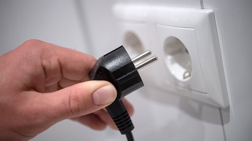 Der Unbekannte zog den Stecker der Kühltruhe und vernichtete so eine große Menge Speiseeis. (Symbolbild) / Foto: Sina Schuldt/dpa