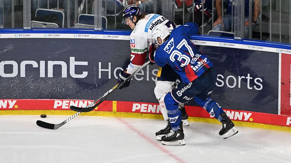 Abwehrspieler Zac Leslie (rechts) wechselt von Mannheim nach Straubing. / Foto: Uli Deck/dpa