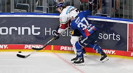 Abwehrspieler Zac Leslie (rechts) wechselt von Mannheim nach Straubing. / Foto: Uli Deck/dpa