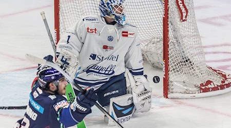 Goalie Florian Bugl bleibt in Straubing. / Foto: Andreas Gora/dpa