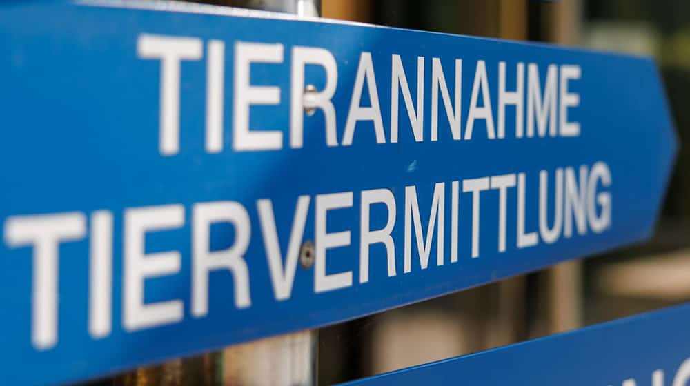 Im Tierheim Nürnberg wird ein Teil der gefundenen Tiere versorgt. (Archivfoto)  / Foto: Daniel Karmann/dpa
