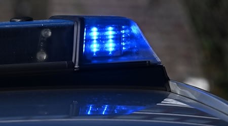 Die Straße war wegen der herumliegenden Baumstämme für mehrere Stunden voll gesperrt. (Symbolbild) / Foto: Bernd Weißbrod/dpa