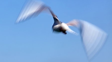 Der Deutsche Wetterdienst kündigt für die nächsten Tage weiterhin blauen Himmel im Freistaat an. (Symbolbild) / Foto: Karl-Josef Hildenbrand/dpa