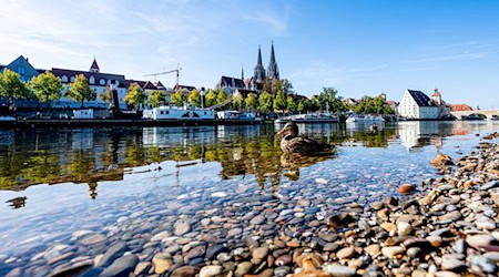 Auf der Donau - wie hier in Regensburg - sind die Pegelstände wegen der Trockenheit zuletzt gefallen. (Archivbild) / Foto: Armin Weigel/dpa