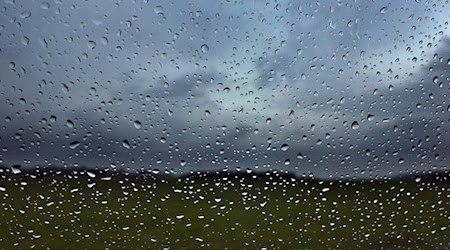 Mit dem Regen sinkt die Waldbrandgefahr in Bayern. (Archivbild) / Foto: Karl-Josef Hildenbrand/dpa
