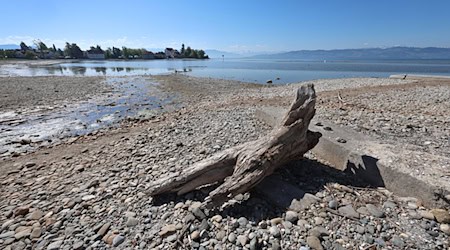 Auch am bayerischen Teil des Bodensees konnten zuletzt niedrige Wasserstände beobachtet werden. Laut dem bayerischen Landesamt für Umwelt war der vergangene Winter insgesamt deutlich zu trocken. (Archivfoto) / Foto: Karl-Josef Hildenbrand/dpa