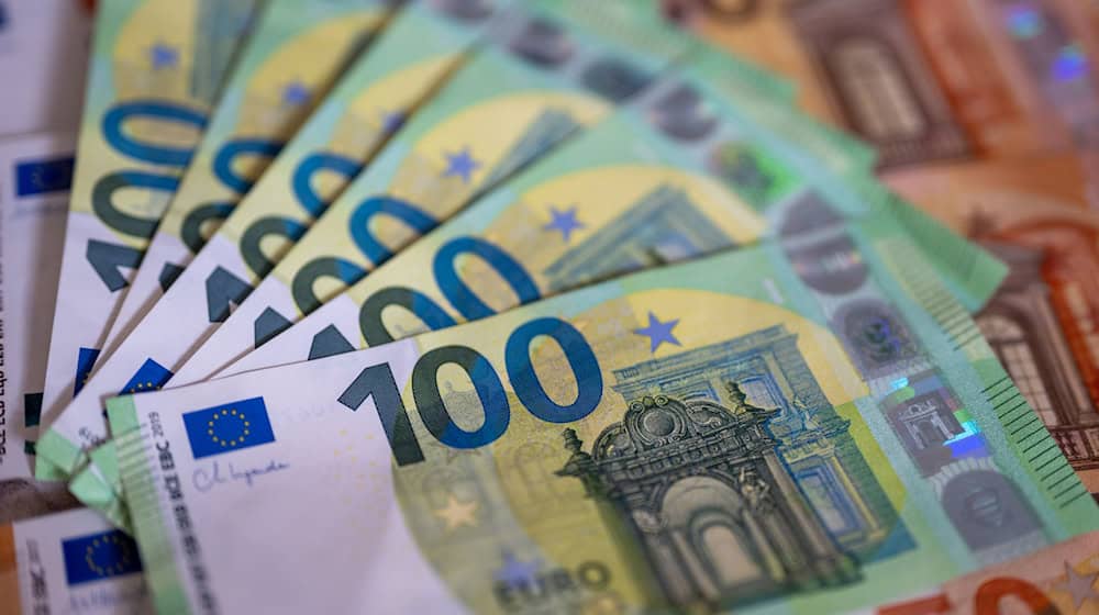 Dank eines Banknoten-Spürhundes fand die Polizei das Geld auf dem Dachboden. (Symbolbild) / Foto: Monika Skolimowska/dpa