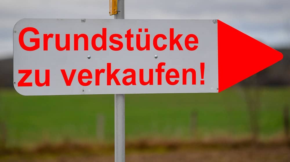 Bei Bauarbeiten für ein Einfamilienhaus ist ein Kran umgefallen (Symbolbild). / Foto: Patrick Pleul/dpa-Zentralbild/dpa